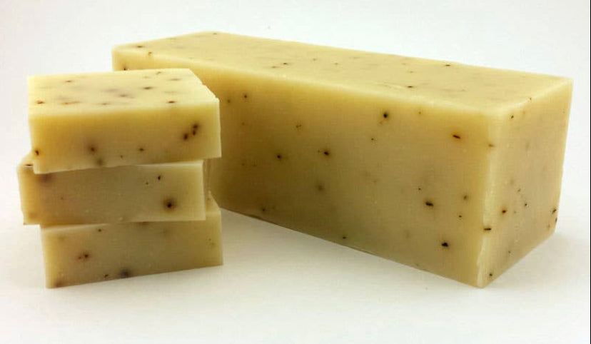 Aloe + Eucalyptus Soap